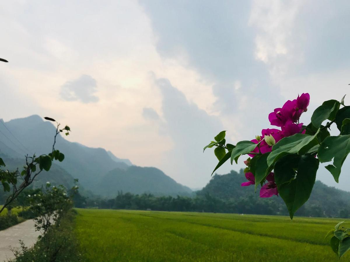 Hotel Jomo House Mai Chau Hòa Bình Exteriér fotografie